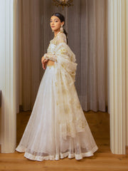 Ecru Burnt Organza Lehenga Set