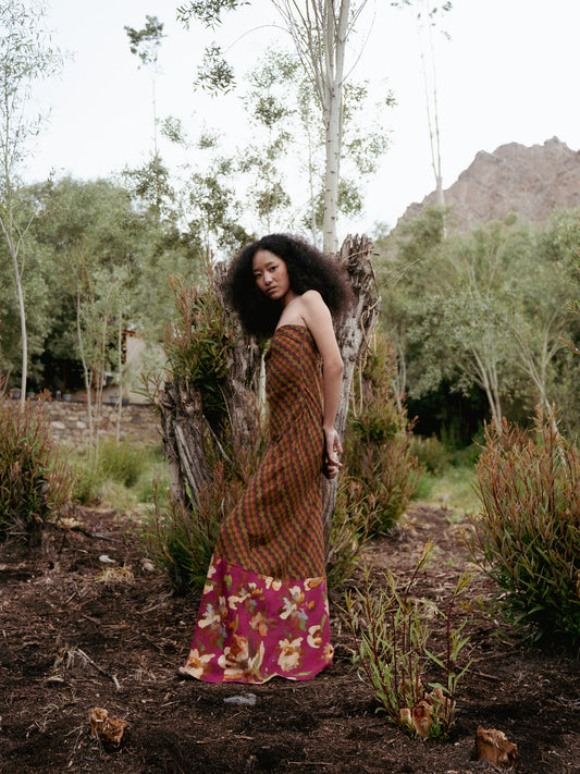 Indus Dress