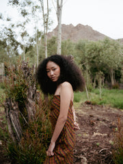 Indus Dress